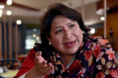 Dina Chuquimia amparo contra Presidente Arce