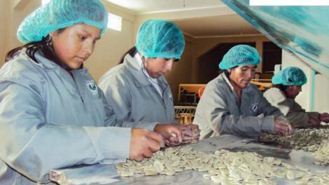 Exportación de haba en Potosí