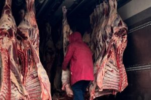 Carniceros bolivianos demandan congelamiento de exportaciones para frenar subida de precios