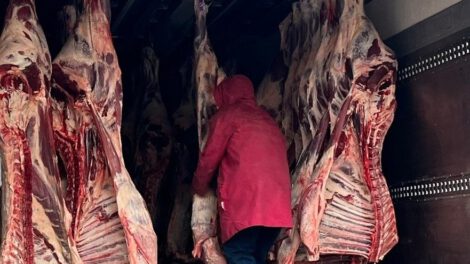 Carniceros bolivianos demandan congelamiento de exportaciones para frenar subida de precios