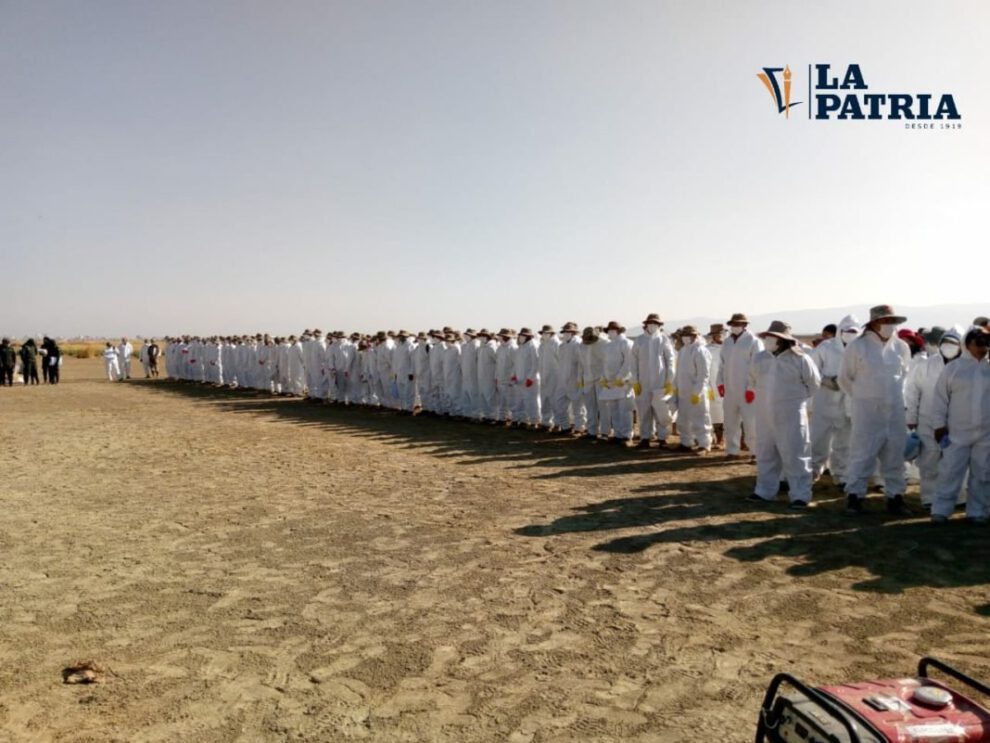 Limpieza del Lago Uru Uru por más de mil voluntarios
