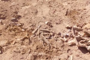 restos óseos en Lago Uru Uru