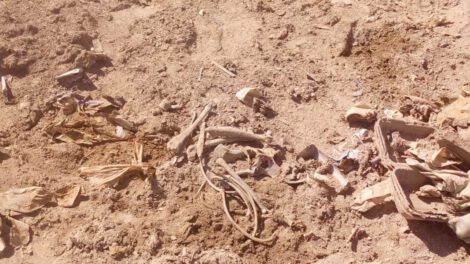 restos óseos en Lago Uru Uru