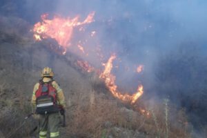 Incendio forestal Parque Nacional Tunari afecta la zona de Bella Vista