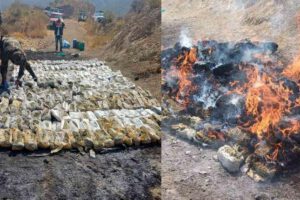 Incineración de droga por la Felcn en Cochabamba