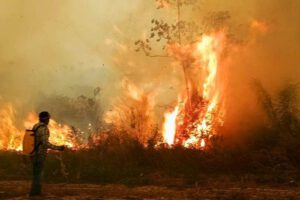 Lucha contra incendios en la Chiquitanía
