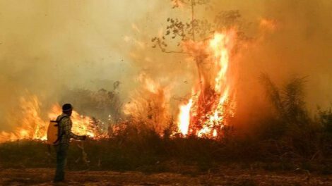 Lucha contra incendios en la Chiquitanía