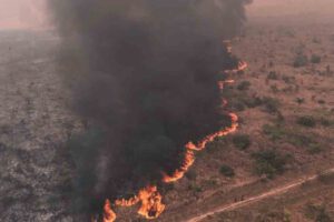 Incendios en Bolivia arrasan más de 10 millones de hectáreas