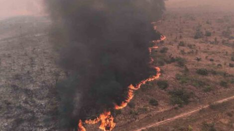 Incendios en Bolivia arrasan más de 10 millones de hectáreas