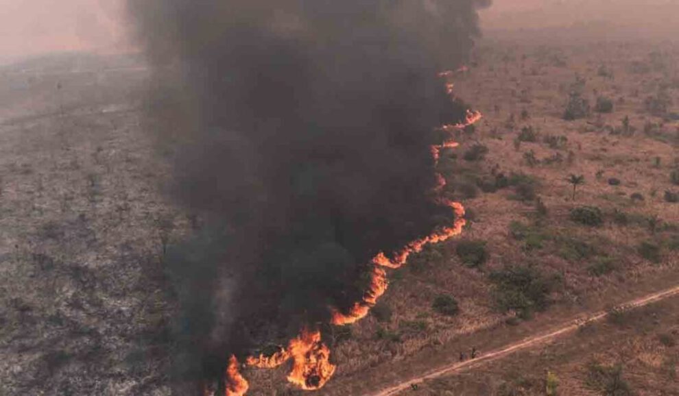 Incendios en Bolivia arrasan más de 10 millones de hectáreas