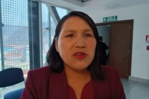 Irregularidades en postulaciones para Fiscal General según Elena Pachacute