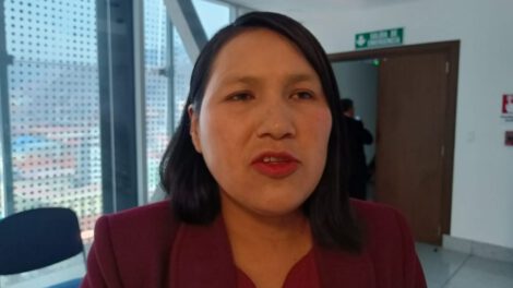 Irregularidades en postulaciones para Fiscal General según Elena Pachacute