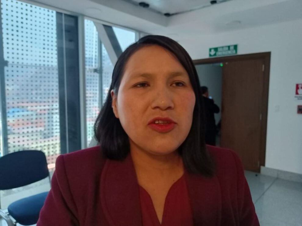 Irregularidades en postulaciones para Fiscal General según Elena Pachacute