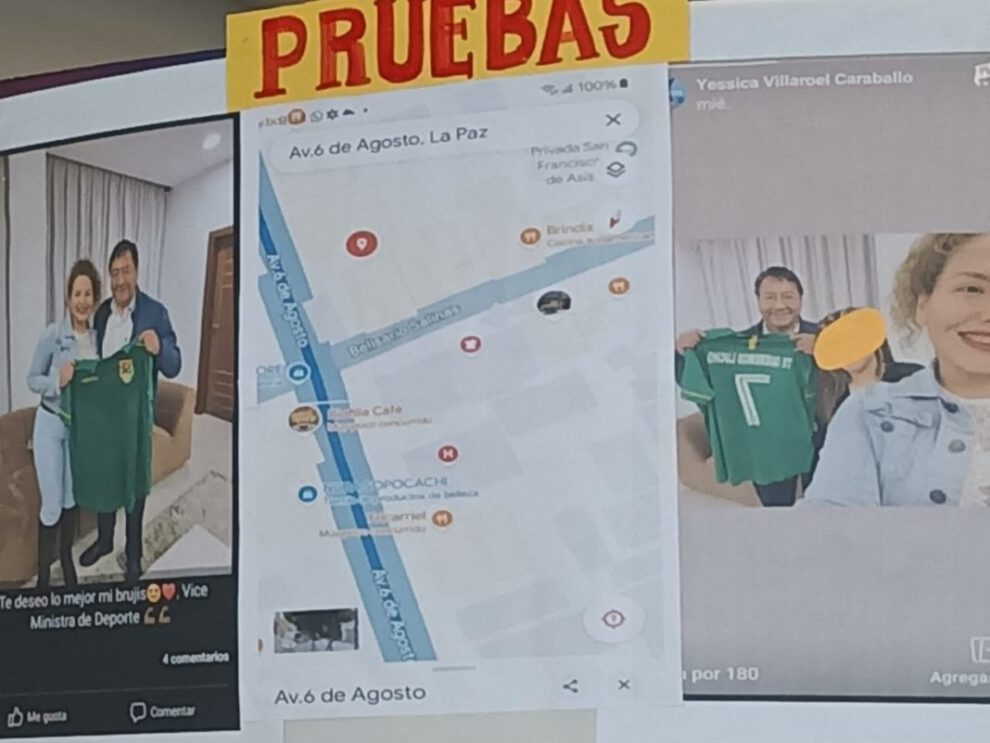 Luis Arce abuso de autoridad y relaciones indebidas