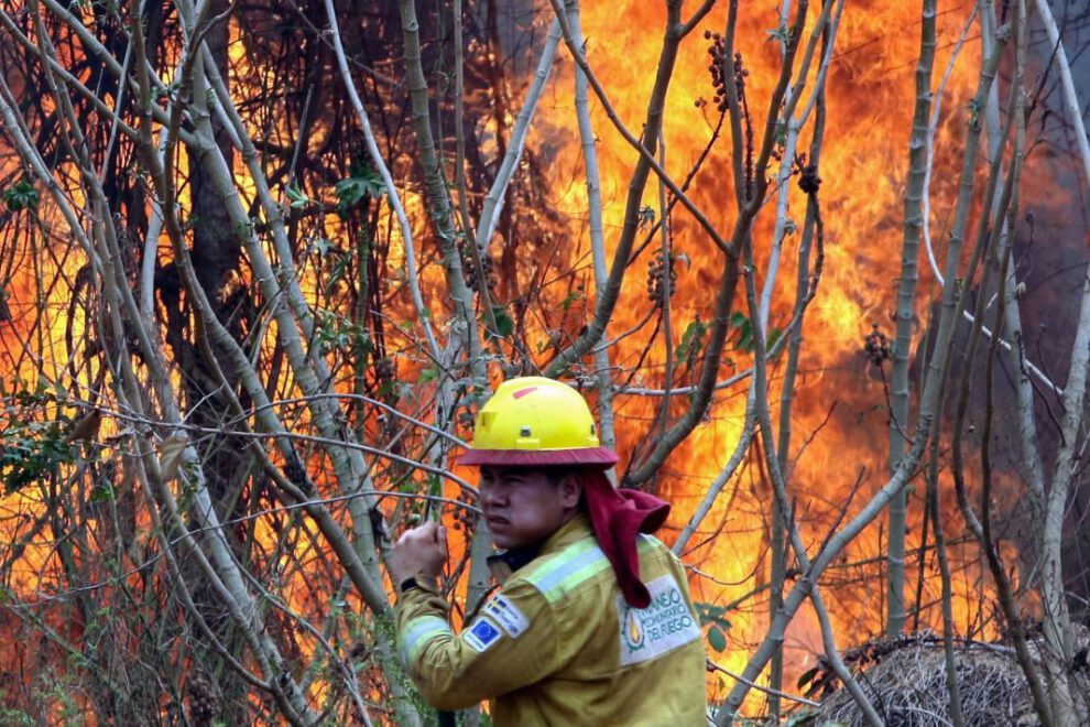 Un bombero trabaja apagando un incendio en la comunidad de Palestina