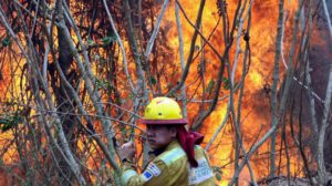 Un bombero trabaja apagando un incendio en la comunidad de Palestina