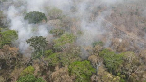 incendios forestales en Bolivia