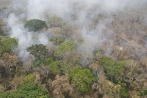 incendios forestales en Bolivia