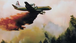 combate contra incendios forestales en Bolivia