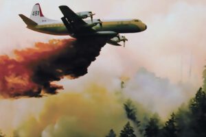 combate contra incendios forestales en Bolivia