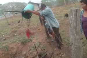 Crisis de agua en Candelaria