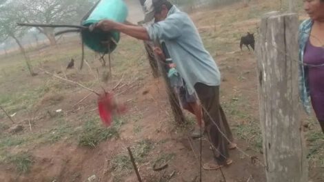 Crisis de agua en Candelaria