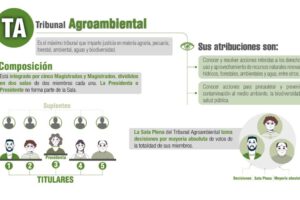 Elecciones Judiciales en Bolivia para el Tribunal Agroambiental