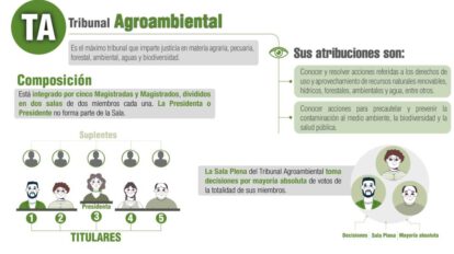 Elecciones Judiciales en Bolivia para el Tribunal Agroambiental