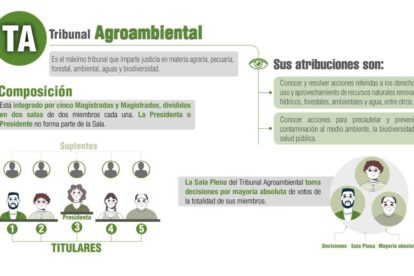 Elecciones Judiciales en Bolivia para el Tribunal Agroambiental