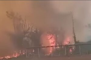 desastre departamental en Pando por incendios y contaminación atmosférica