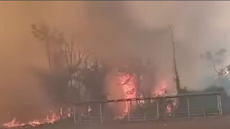 desastre departamental en Pando por incendios y contaminación atmosférica
