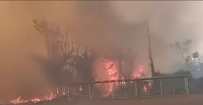 desastre departamental en Pando por incendios y contaminación atmosférica
