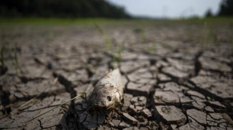 Amazonía y cambio climático