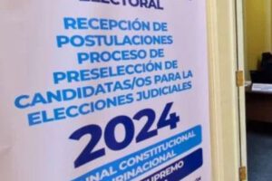 Hugo Vargas amparo TSE