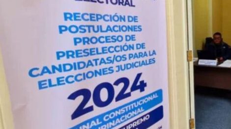 Hugo Vargas amparo TSE