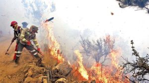 Disminución de incendios forestales en Bolivia
