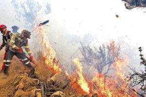 Disminución de incendios forestales en Bolivia