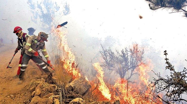 Disminución de incendios forestales en Bolivia