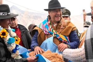 Esquila de vicuñas en Malla