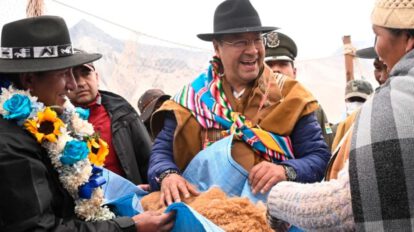 Esquila de vicuñas en Malla