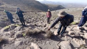 Infanticidio en Potosí