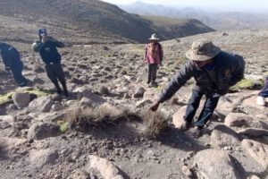 Infanticidio en Potosí