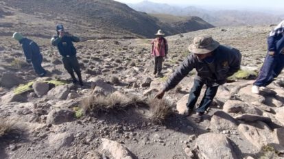Infanticidio en Potosí