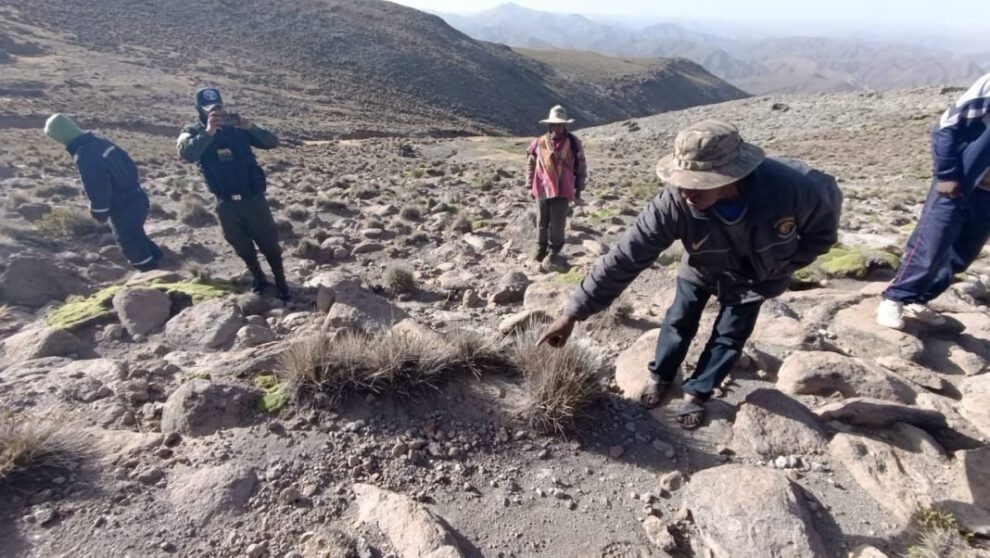Infanticidio en Potosí