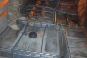 Incautación de ganado y diésel en operativos de lucha contra el contrabando