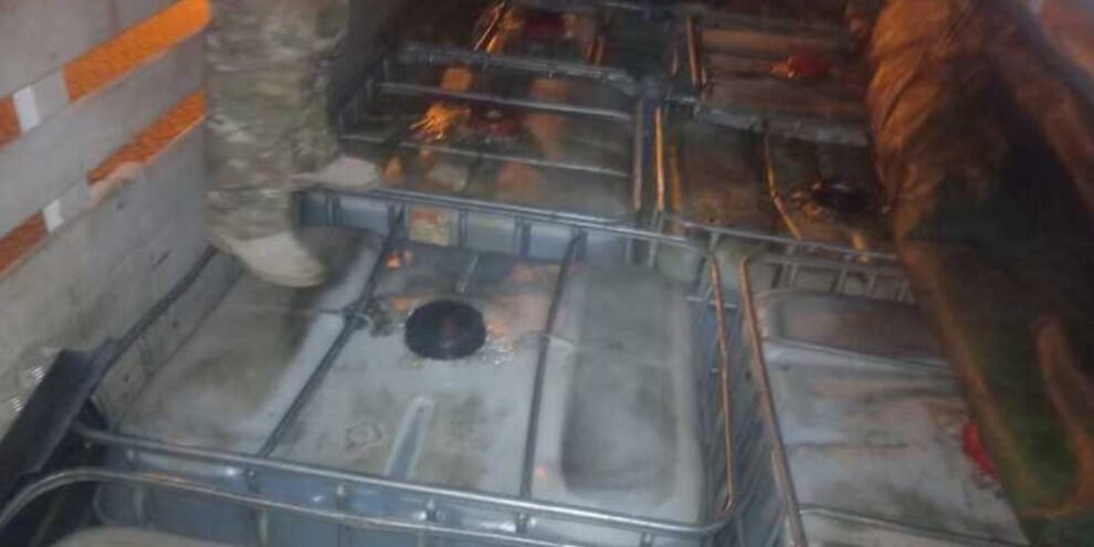 Incautación de ganado y diésel en operativos de lucha contra el contrabando