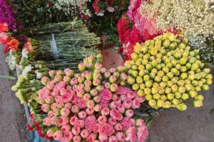 Floricultoras en emergencia por bloqueo de carreteras en Cochabamba
