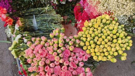 Floricultoras en emergencia por bloqueo de carreteras en Cochabamba