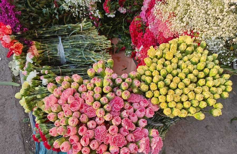 Floricultoras en emergencia por bloqueo de carreteras en Cochabamba