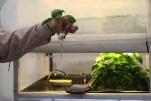 Huertos Smart: innovación tecnológica en la agricultura boliviana